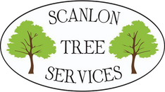 Scanlon Tree Services 