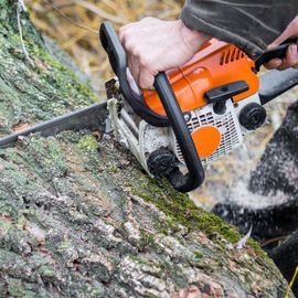 Cutting up a tree trunk in Wicklow